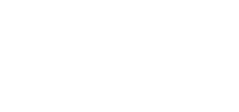 American Craft Beer